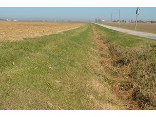 Tract 1 - FARMLAND AUCTION - 165.5+/- ACRES OFFERED IN 5 TRACTS OR COMBINATIONS IN EAST ALLEN COUNTY